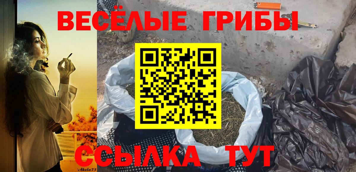 Галлюциногенные грибы Psilocybine cubensis  Вход с VPN  Бор 