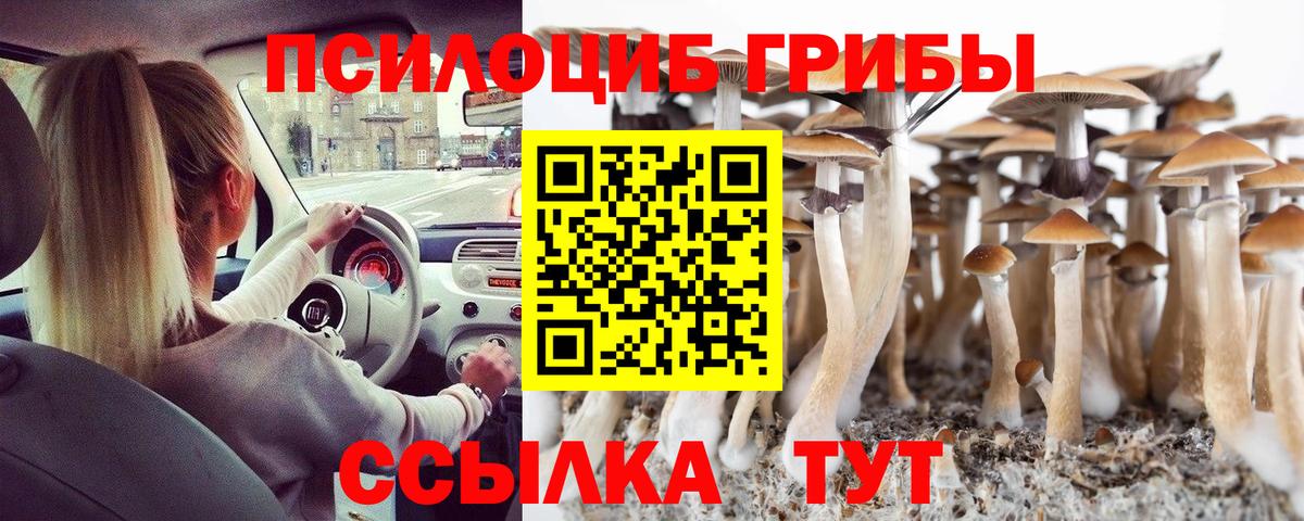 Галлюциногенные грибы Cubensis Бор